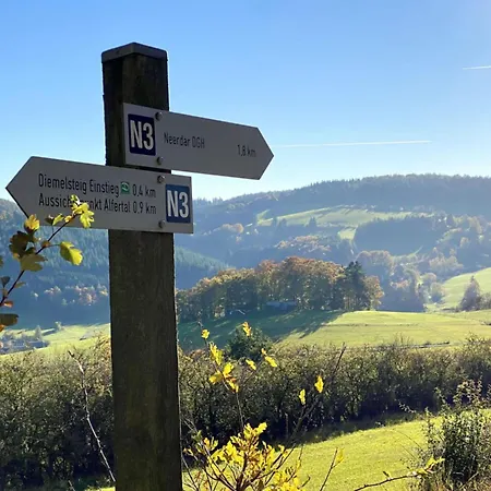 In Willingen-neerdar Appartement Neerdar