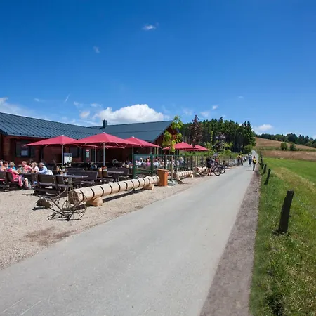 In Willingen-neerdar Appartement *