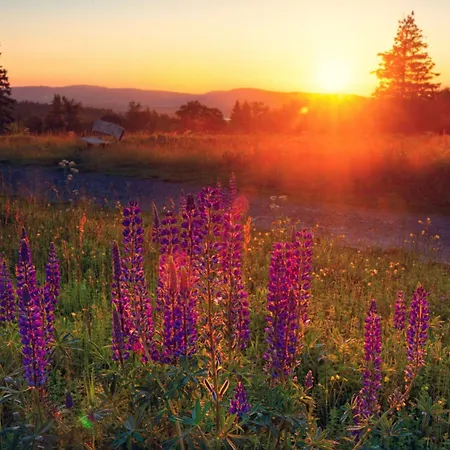 Appartement In Willingen-neerdar *