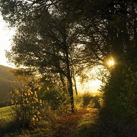 In Willingen-neerdar * Neerdar