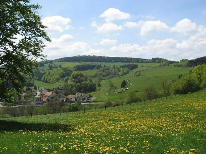 In Willingen-neerdar Neerdar