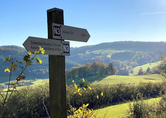 In Willingen-neerdar Διαμέρισμα Neerdar