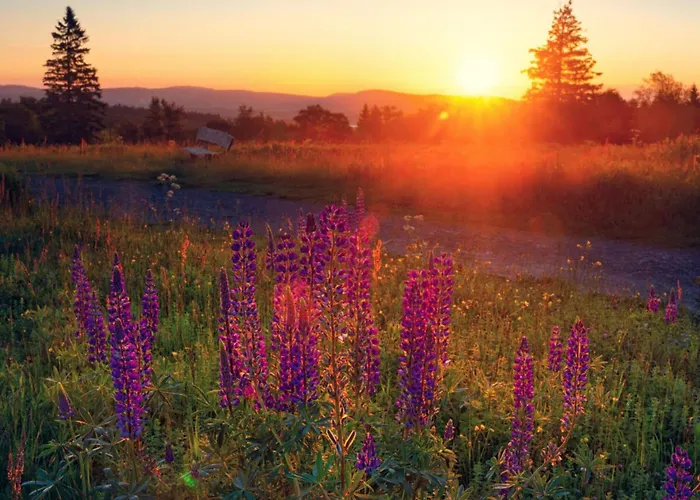 Διαμέρισμα In Willingen-neerdar *