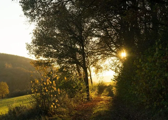 In Willingen-neerdar * Neerdar